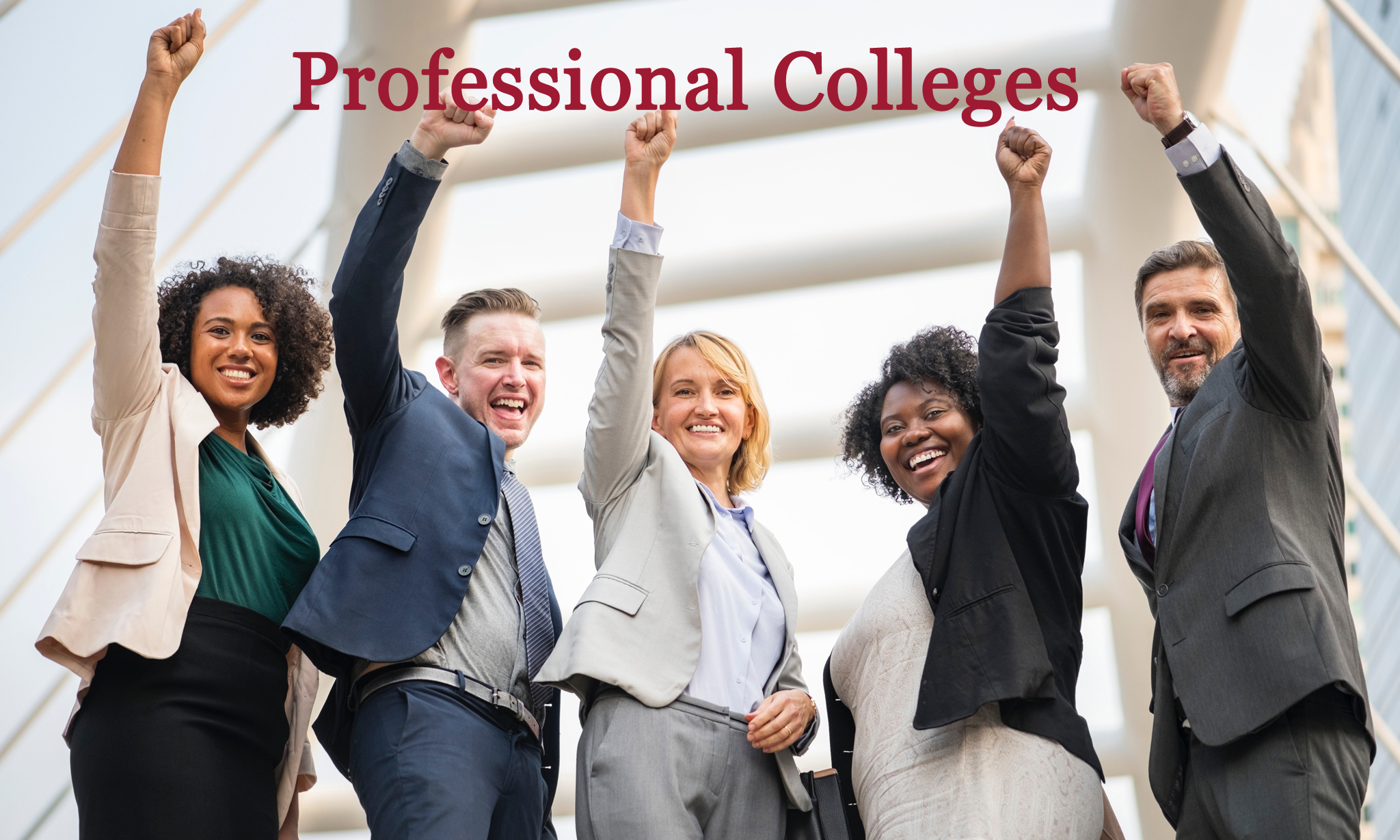 Professional Colleges